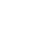Visit X