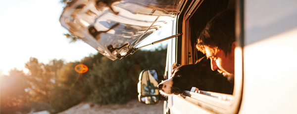 En hund tittar ut genom ett öppet bilfönster i solnedgången, med natur i bakgrunden.