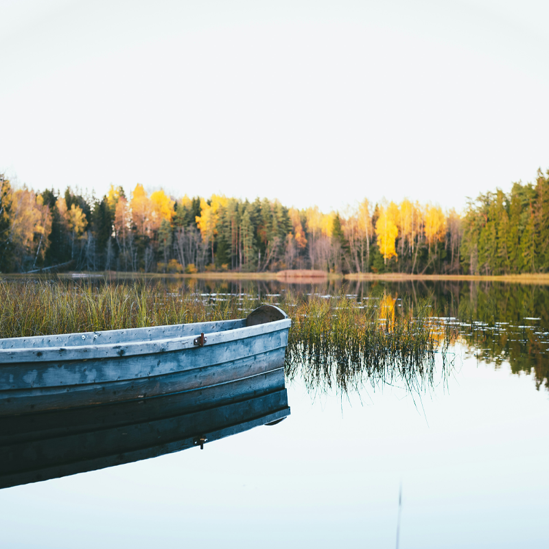 En roddbåt ligger stilla vid en lugn sjö omgiven av höstfärgade träd och högt gräs.