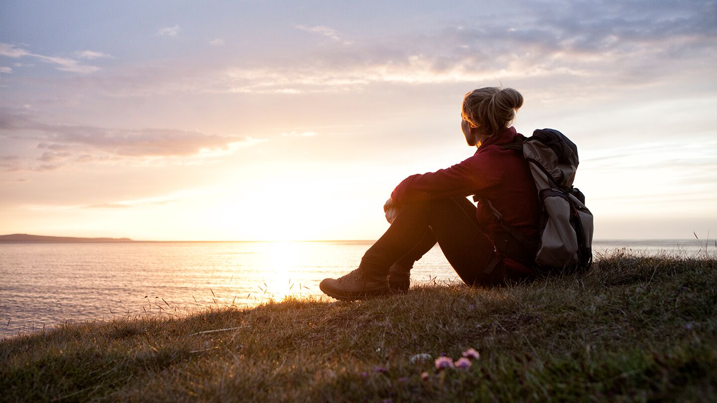 Närbild på vita prästkragar i en grönskande miljö. Blommorna framhäver en känsla av lugn och natur.