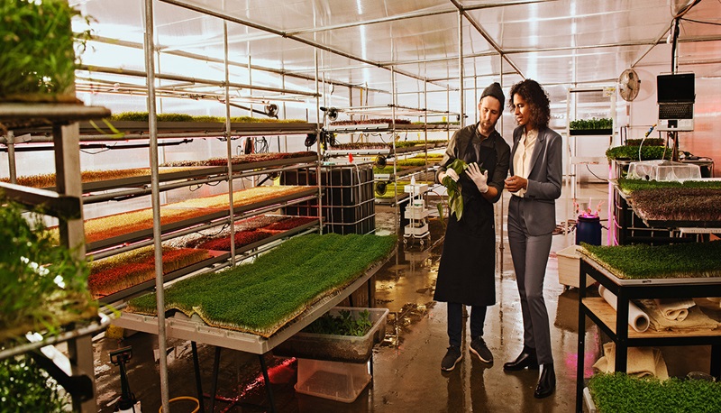 två personer i en inomhusodling