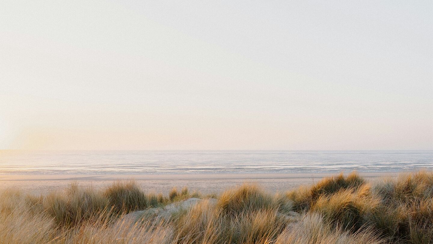 Sanddyner med gräs vid havet.