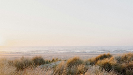Sanddyner med gräs vid havet.