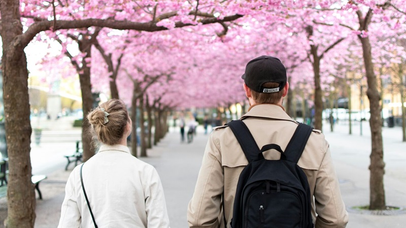 Ett par går utom hus i en trädgård med körsbärsblommor