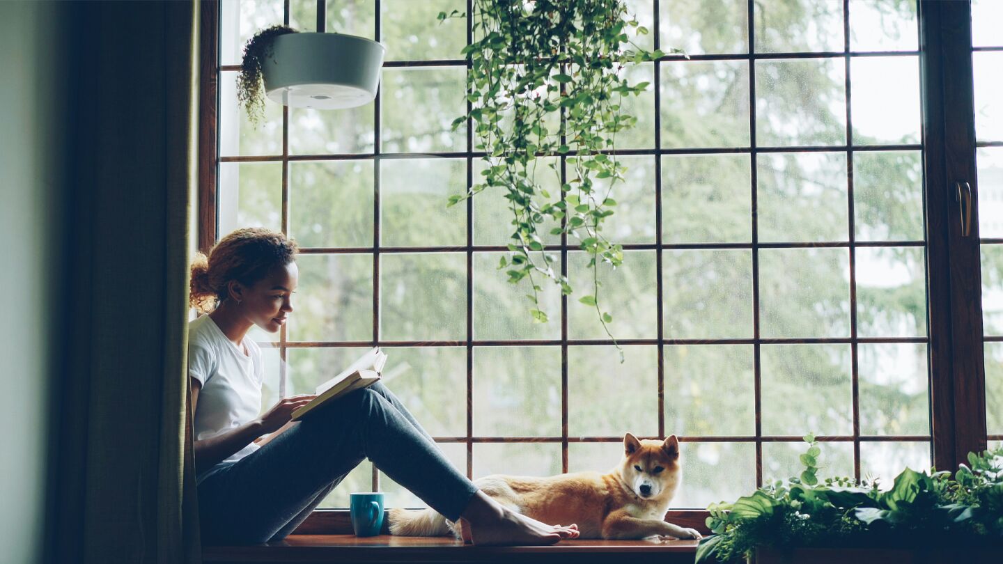 Köpa eller sälja bostad