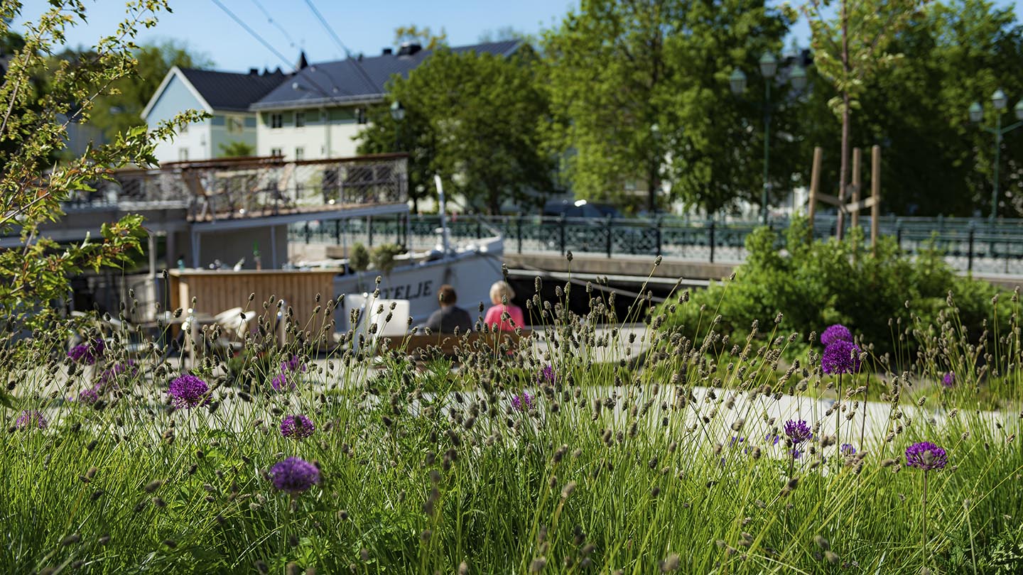 Artikel Landskapsarkitekt sydväst hamn vy med blommor