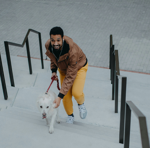 En person går uppför en trappa tillsammans med en vit hund som är kopplad med ett rött koppel.