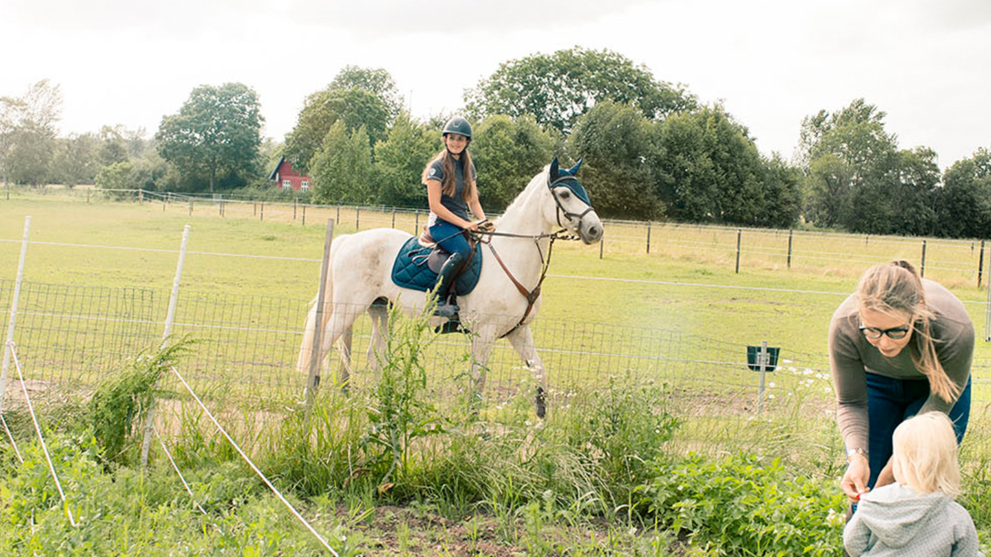 ryttare på häs i hage