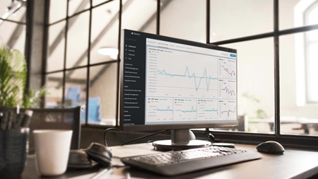 datorskärm som visar district