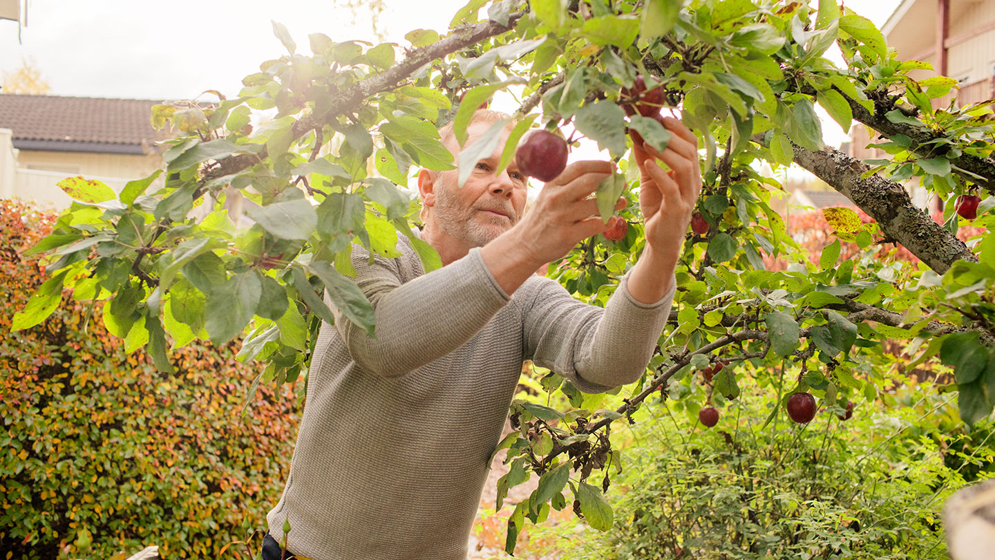 Privat pensionsförsäkring