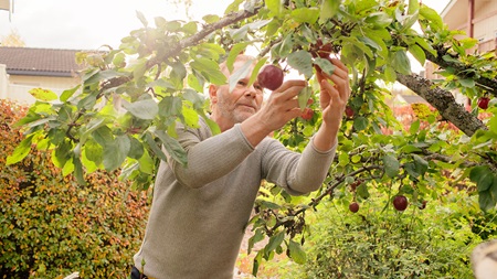 Privat pensionsförsäkring