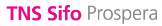tns sifo logo