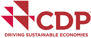 logo cdp